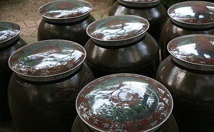 장독 뚜껑 근접