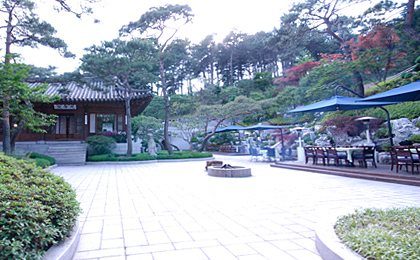 후원 마당과 파라솔 좌석
