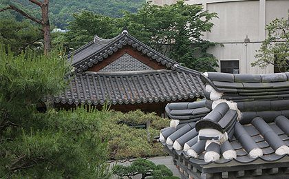 기와지붕과 정원(뒤로 건물이 보임)