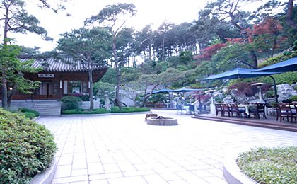 후원 마당과 파라솔 좌석