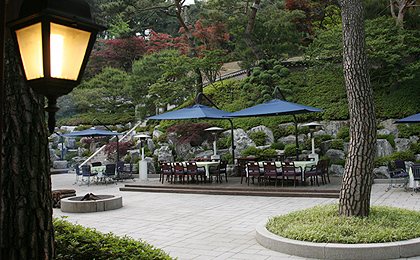 후원 파라솔 마당과 정원 등